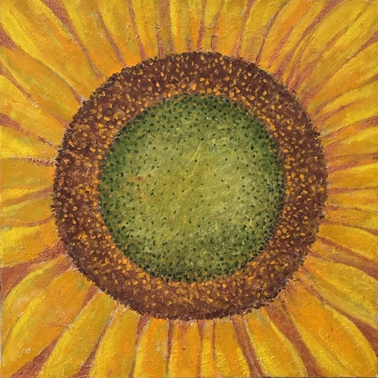 Maria Hillfon  www.hillfon.com  Solros - Sunflower, 60x60 målningar, paintings